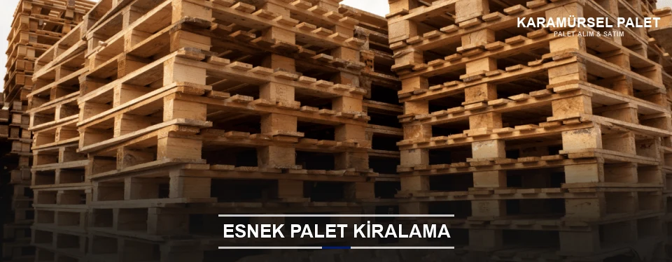 Karamürsel Uygun Fiyatlı Palet Kiralama Karamürsel Uygun Fiyatlı Palet Kiralama